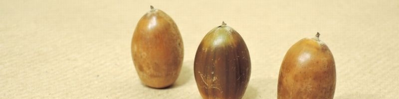 gT|[gTvgyHGHf^oXz͂𔭊 TCg2