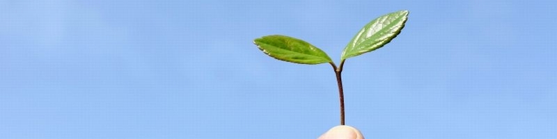 gT|[gTvgyHGHf^oXz͂𔭊 TCg3